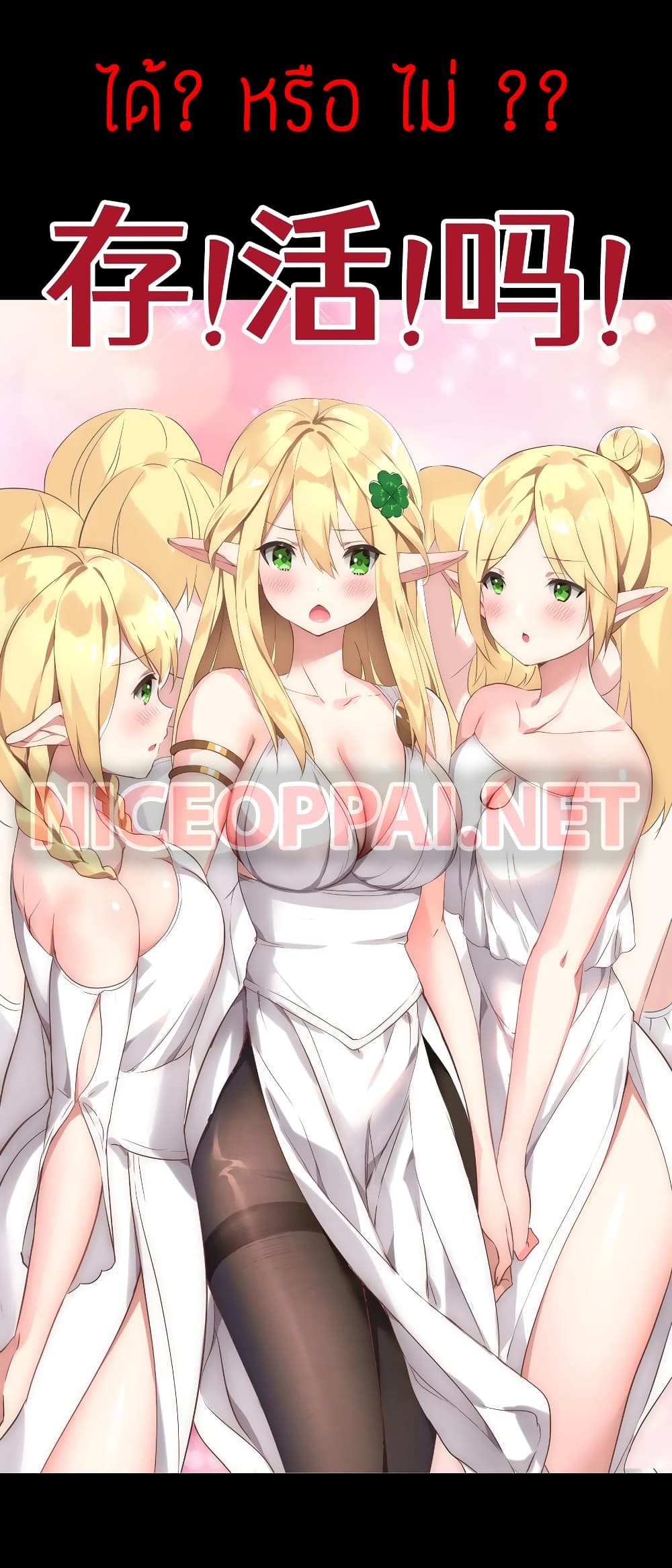 My Harem is the Best 0-0