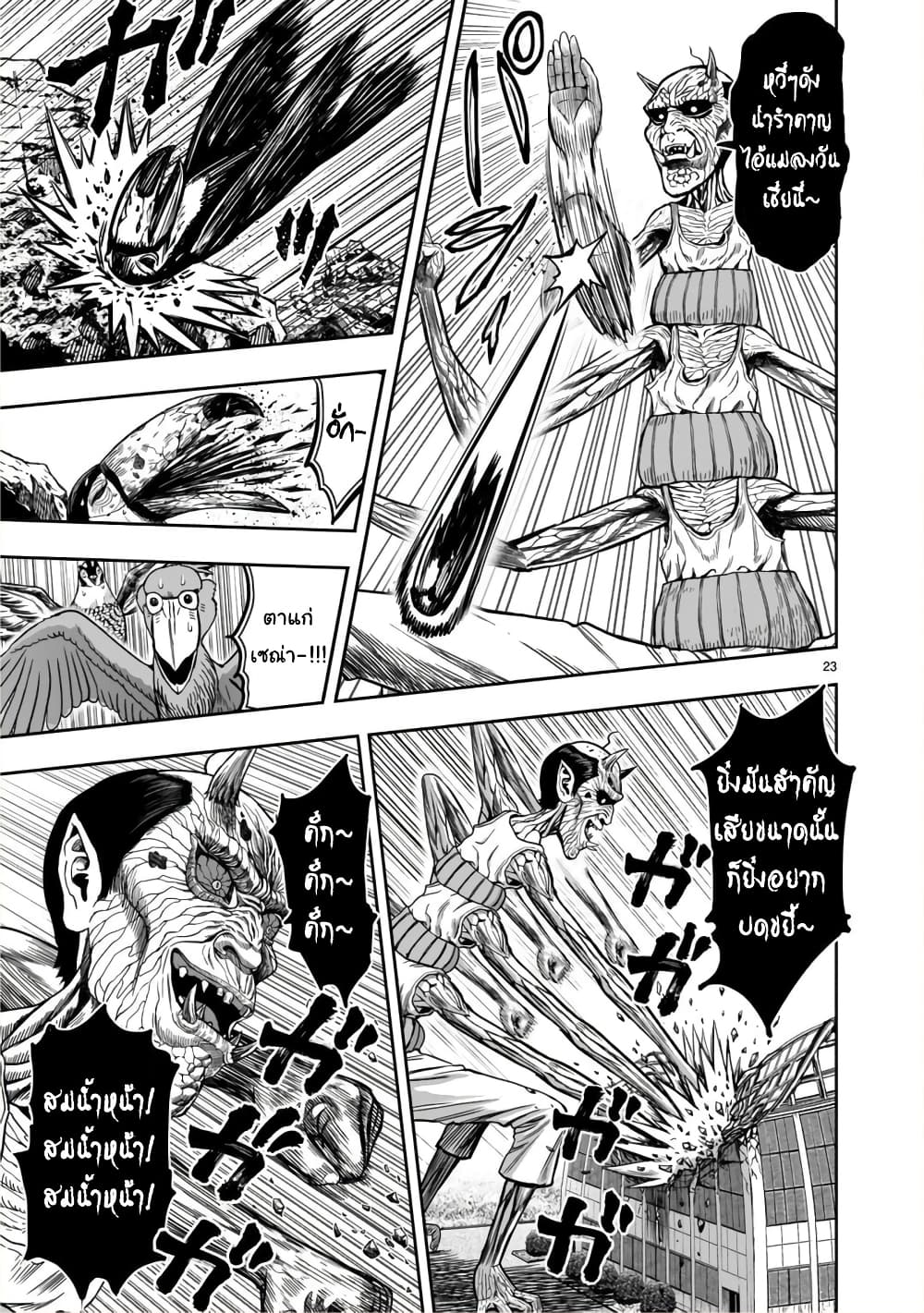 Rooster Fighter ป๋าโต้งชนยับ 3-ไก่กรุงมุ่งถิ่นใต้ ดั่งไปเล้าใกล้ๆ (คิดถึงถิ่นเกิด ในต่างแดน)