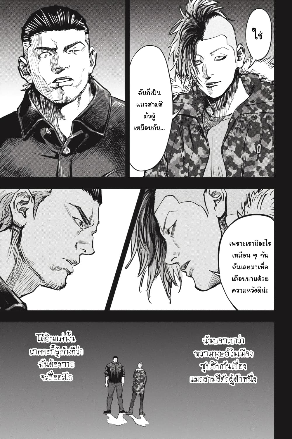 Nyankees 27-แมวสามสีตัวผู้เป็น...