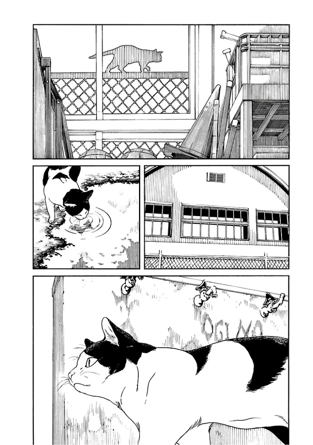 Fujiyama-san wa Shishunki 67-คุณฟูจิยามะตอนนี้ก็โตเป็นสาวแล้ว (ตอนจบ)
