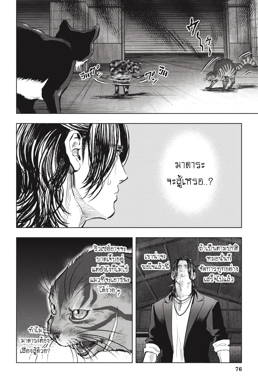 Nyankees 24-สัญชาตญาณแมว