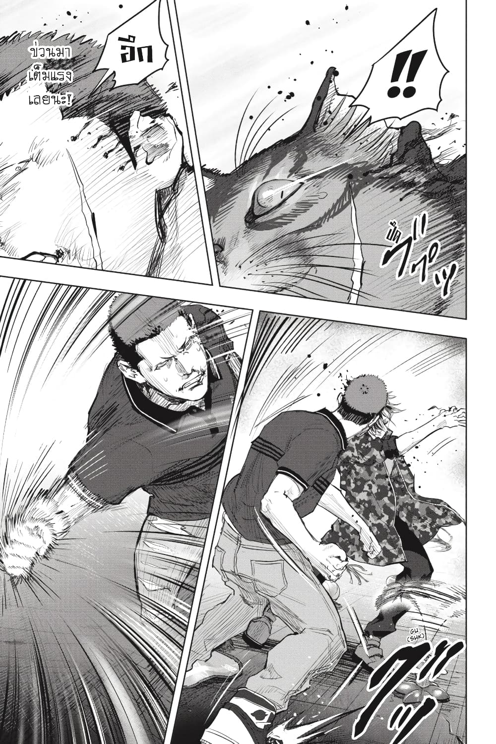 Nyankees 24-สัญชาตญาณแมว