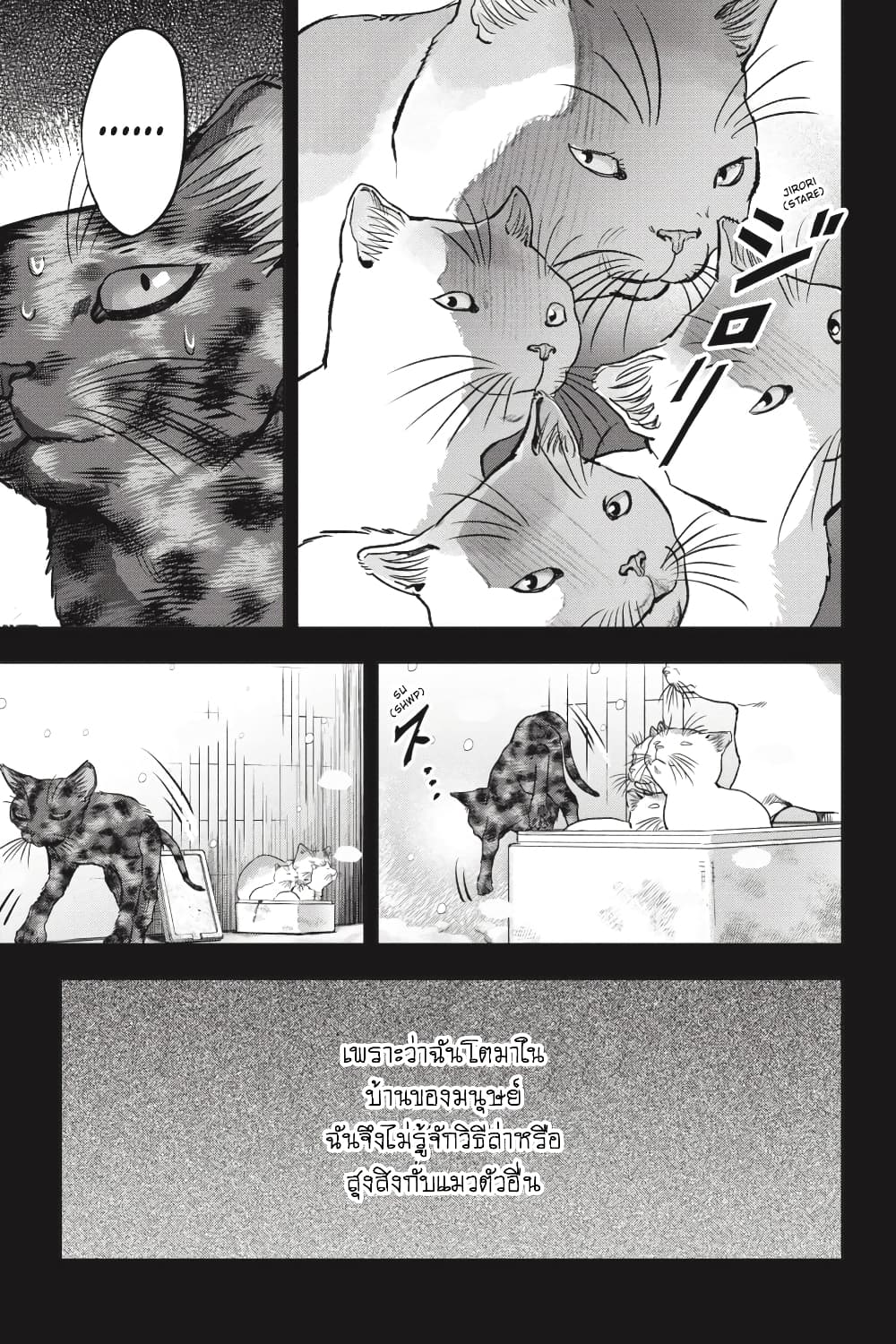Nyankees 26-มาดาระ