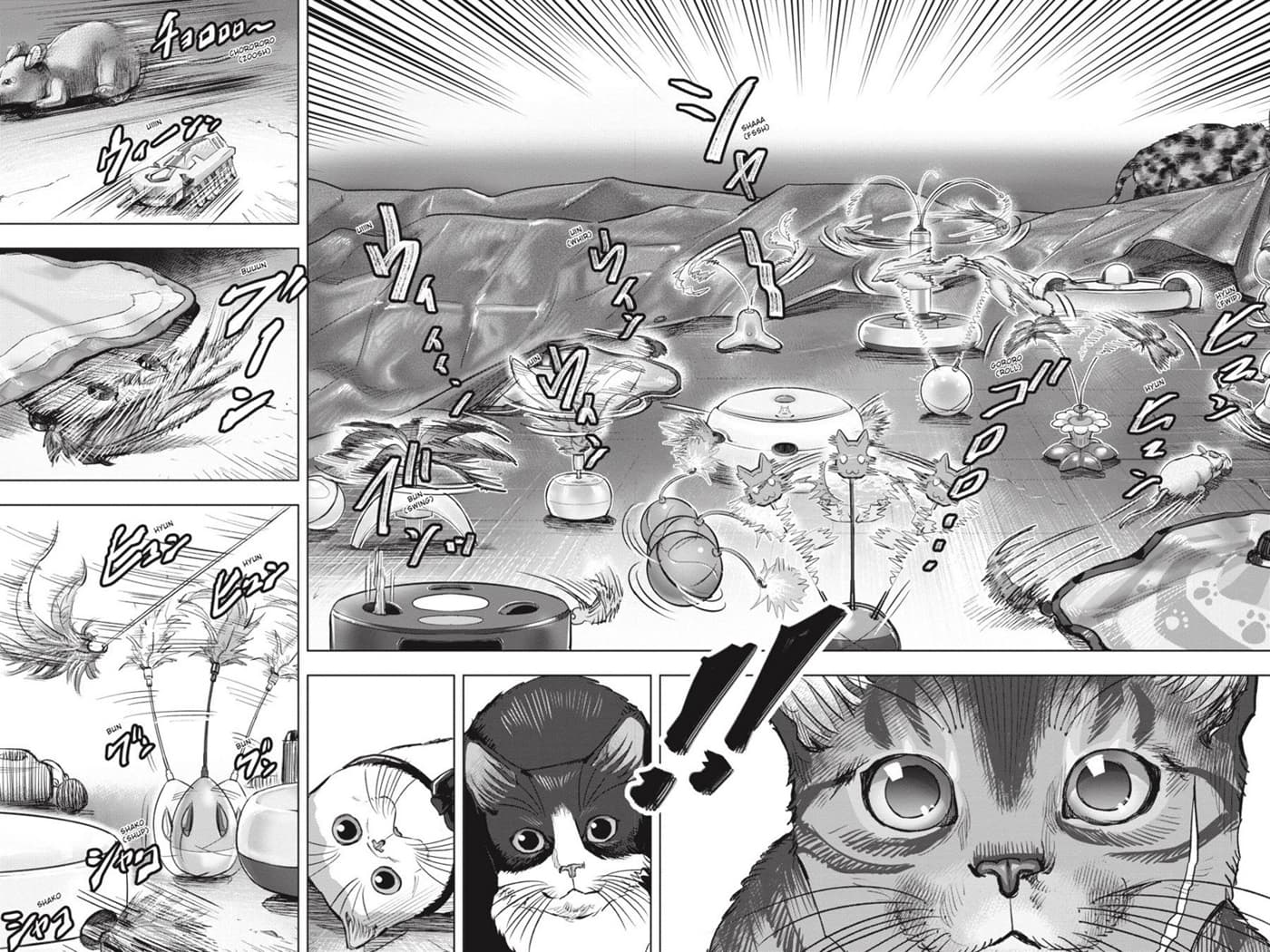 Nyankees 24-สัญชาตญาณแมว