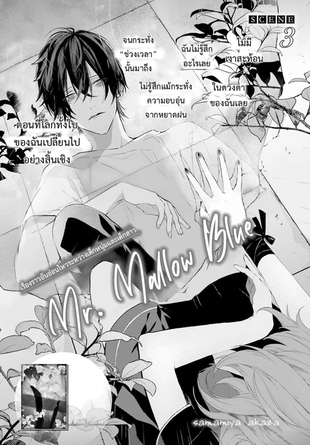 Mr. Mallow Blue 3-3
