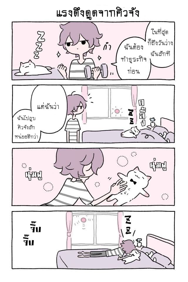 Wonder Cat Kyuu-chan คิวจัง แมวมหัศจรรย์ 12-12
