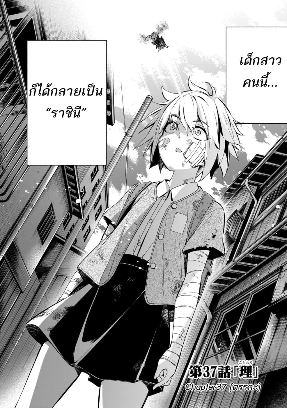 Himenospia 37-ตรรกะ