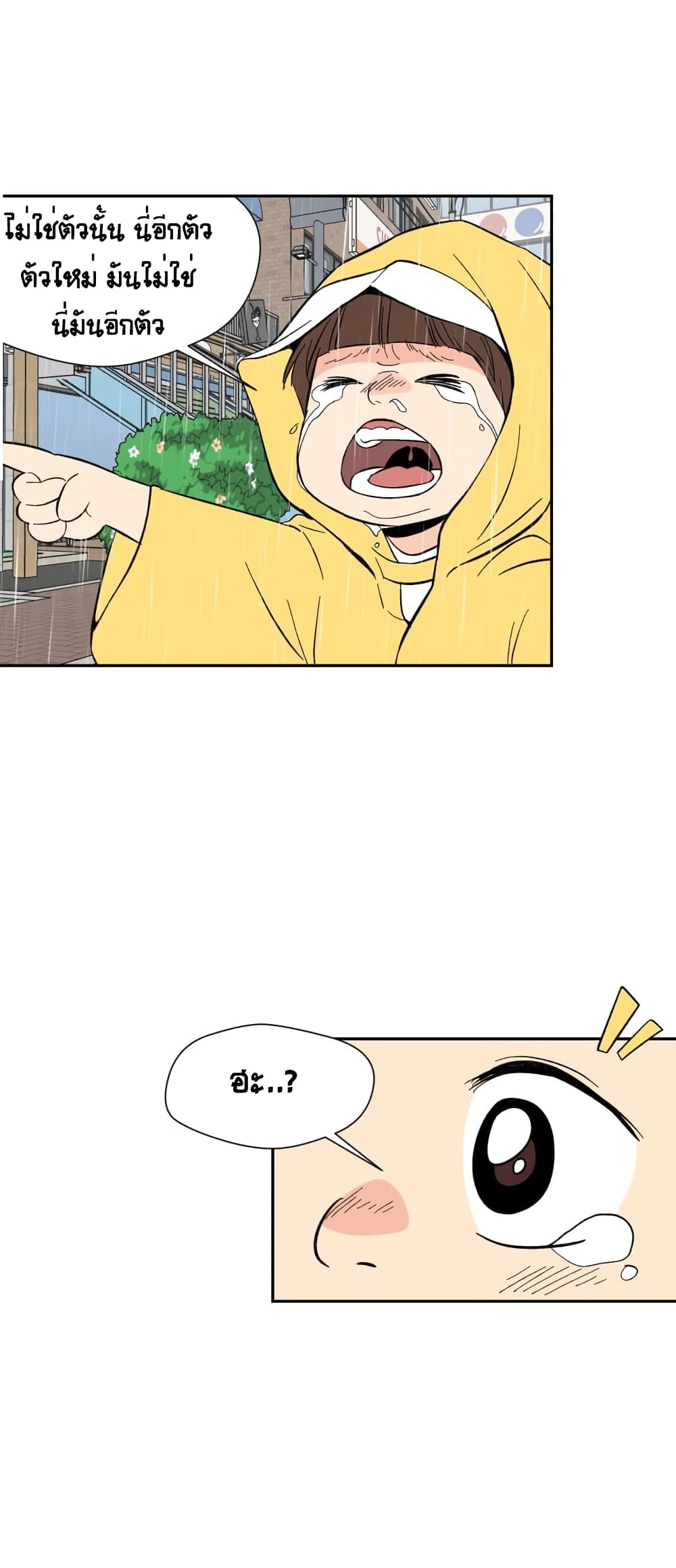 Face Genius 1-1
