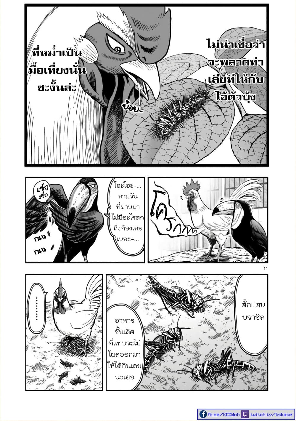 Rooster Fighter ป๋าโต้งชนยับ 3-ไก่กรุงมุ่งถิ่นใต้ ดั่งไปเล้าใกล้ๆ (คิดถึงถิ่นเกิด ในต่างแดน)