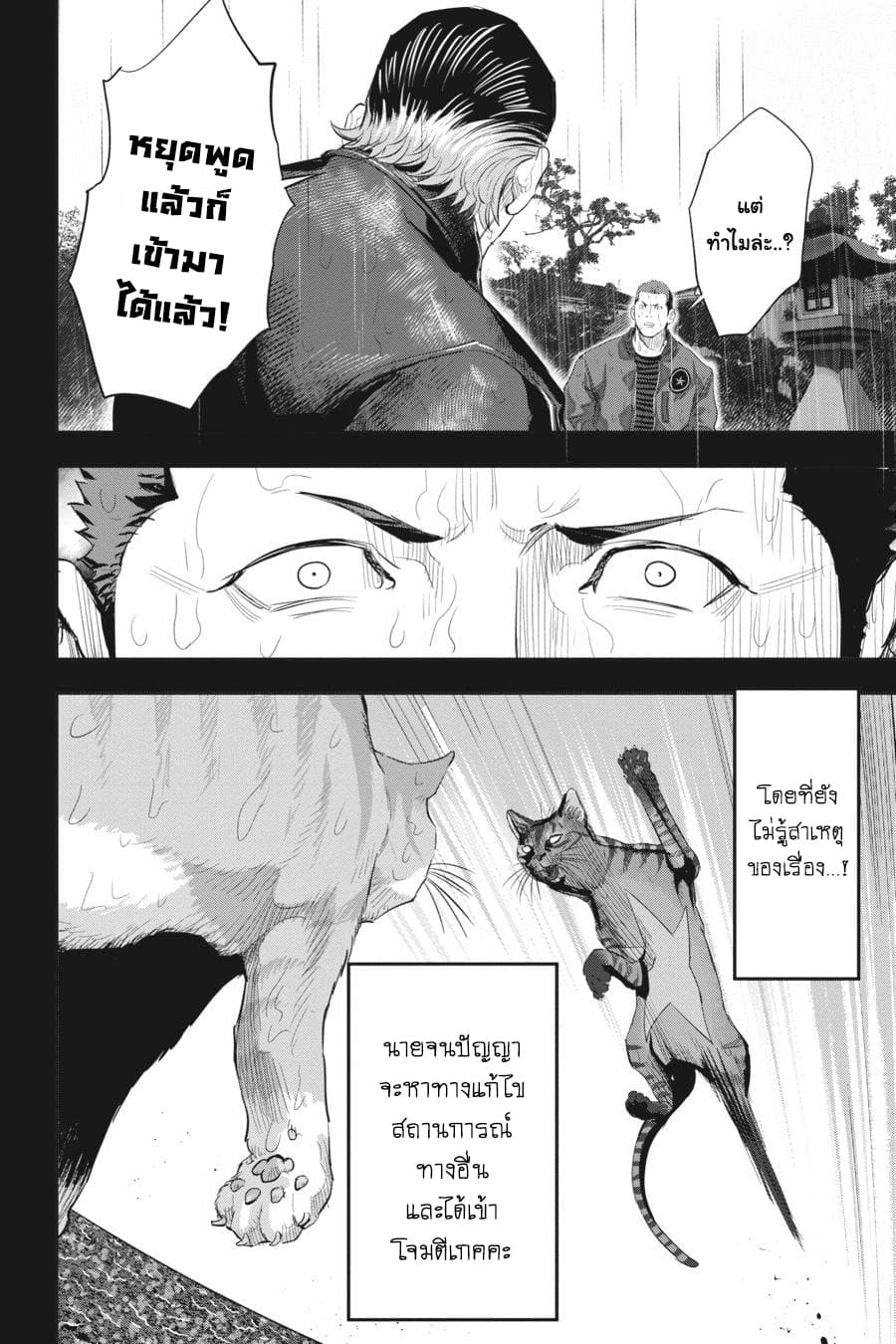 Nyankees 23-ปิดบัญชี