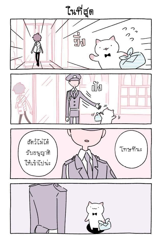 Wonder Cat Kyuu-chan คิวจัง แมวมหัศจรรย์ 8-8