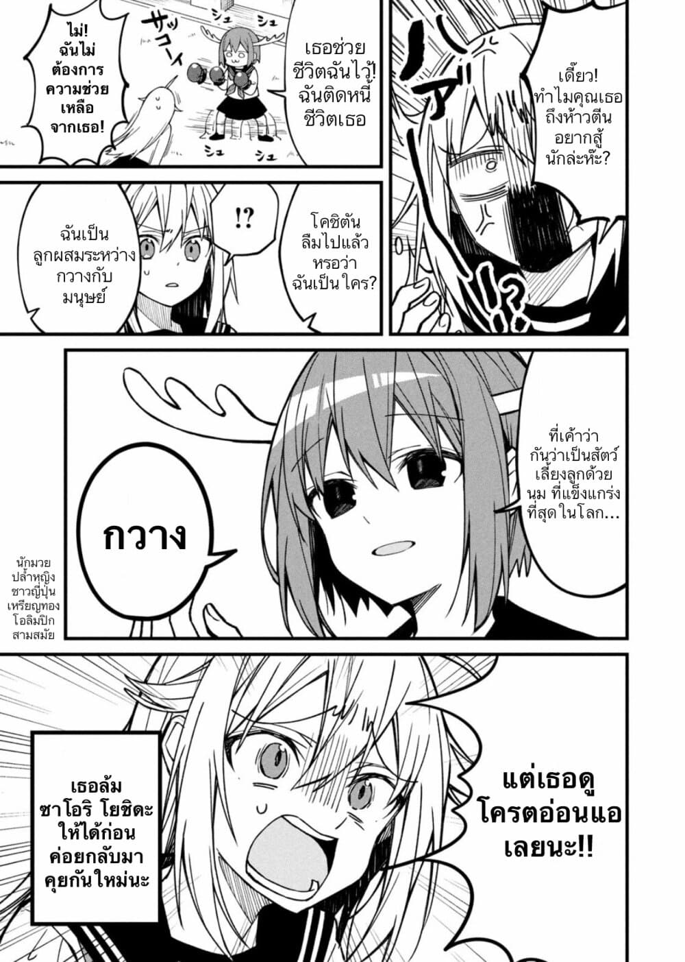 Shikanoko Nokonoko Koshitantan 3-โคชิตันได้รับจดหมายรัก?