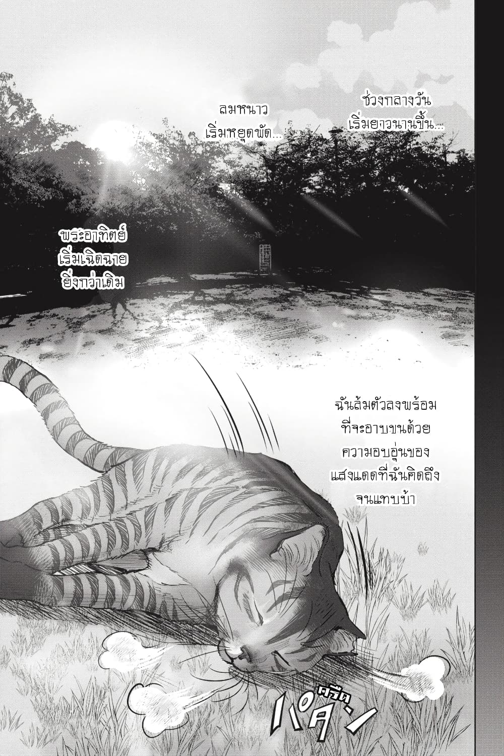 Nyankees 28-มีชีวิต