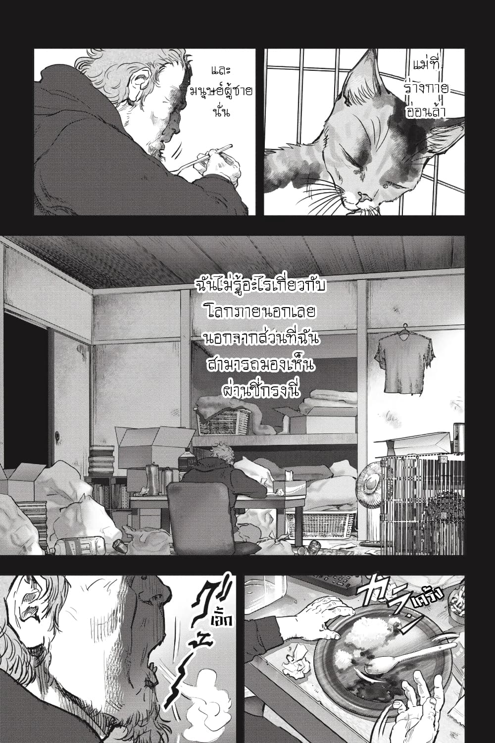 Nyankees 26-มาดาระ