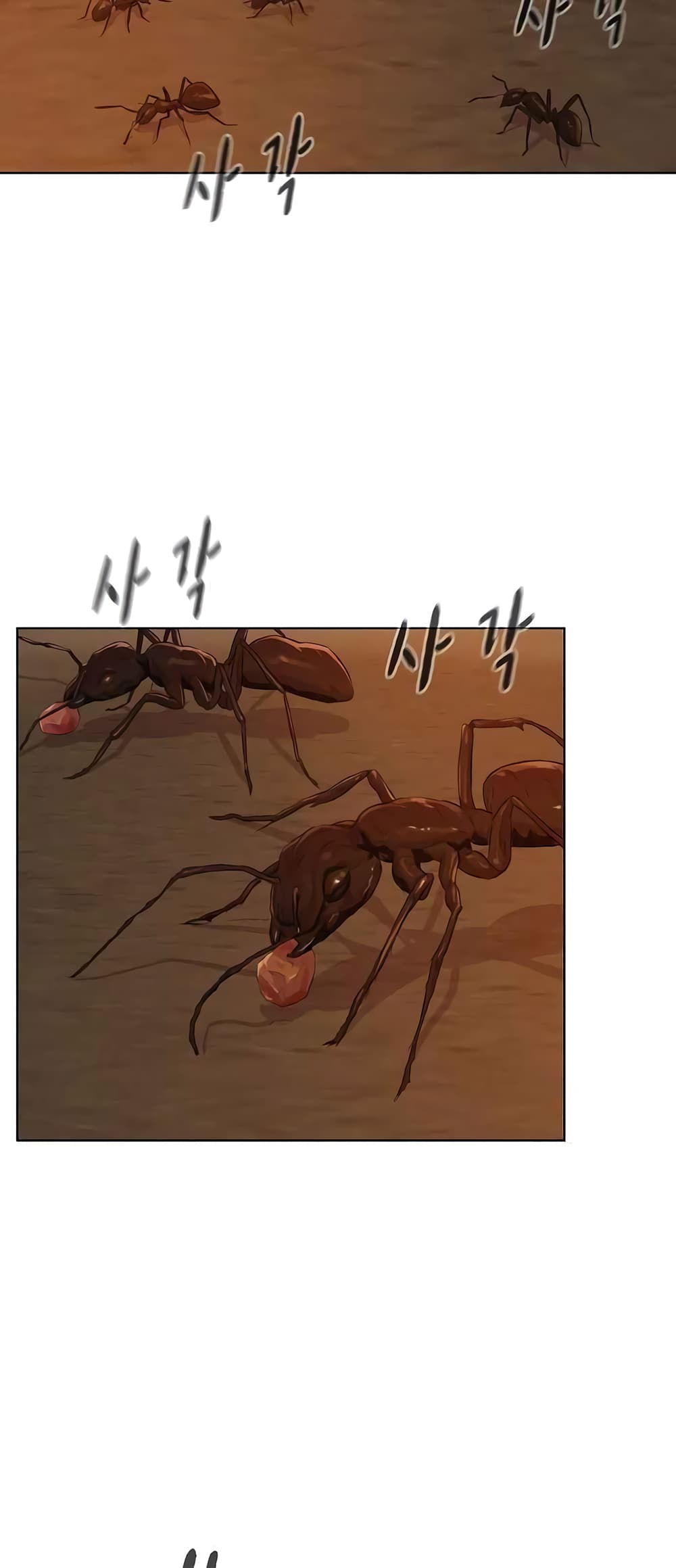 3CM Hunter 13-13