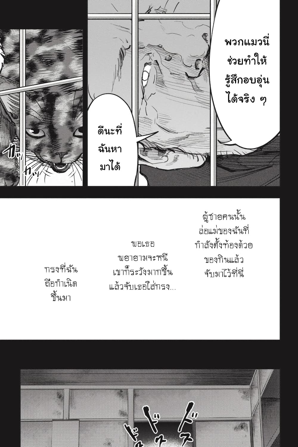 Nyankees 26-มาดาระ