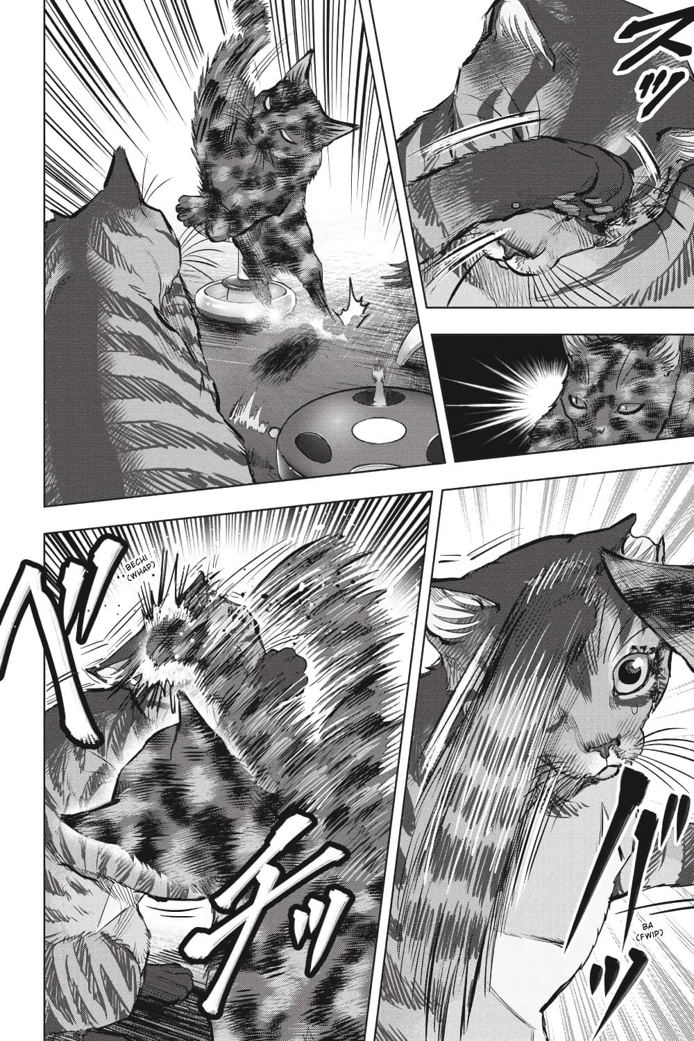 Nyankees 24-สัญชาตญาณแมว