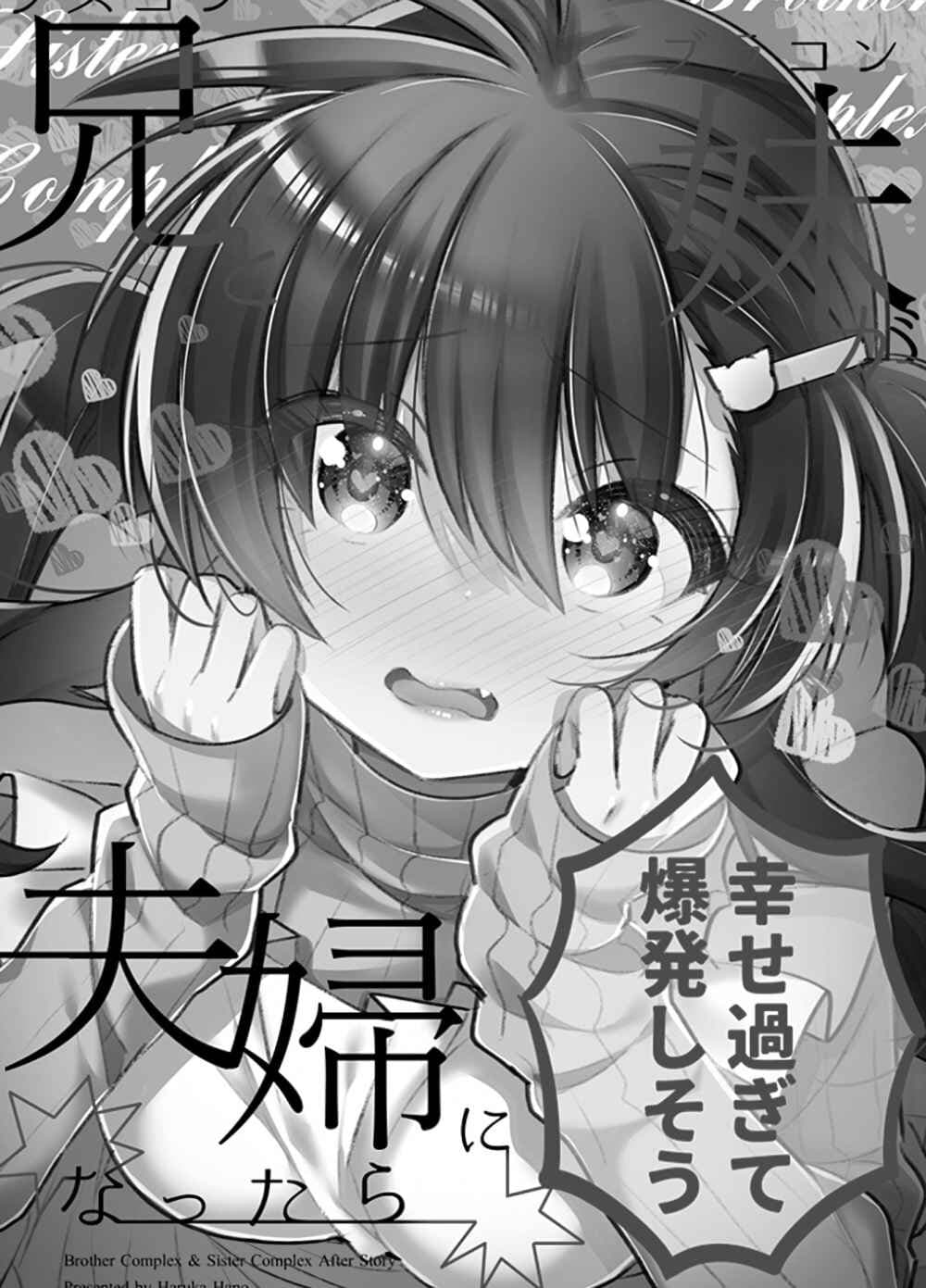 Siscon Ani to Brocon Imouto ga Shoujiki ni Nattara 49-After Story (Oneshot) 1