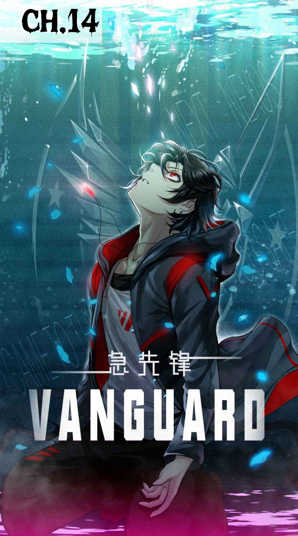 Vanguard 14-14
