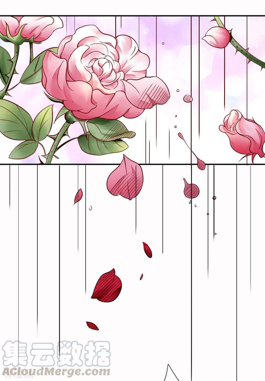 Time-limited Marriage Contract 1-1