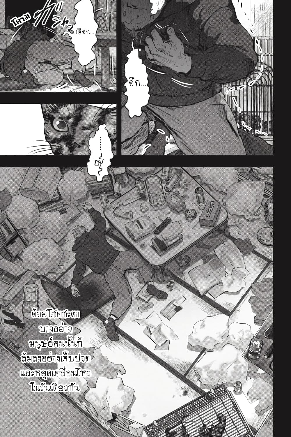 Nyankees 26-มาดาระ