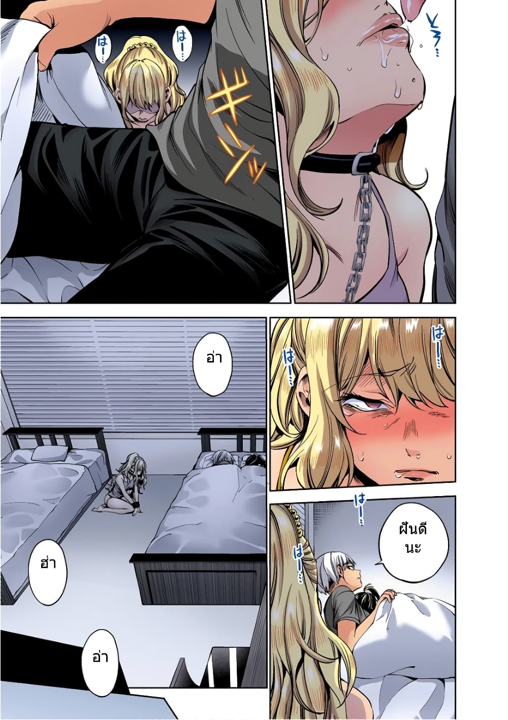 World's End Harem 41-41