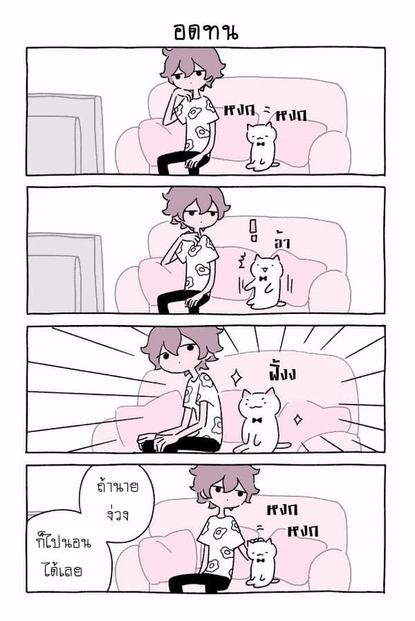 Wonder Cat Kyuu-chan คิวจัง แมวมหัศจรรย์ 10-10