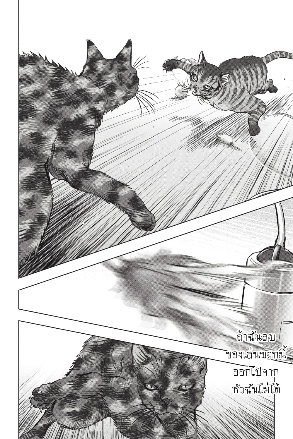 Nyankees 25-ไม่สามารถเอาชนะสัญชาตญาณได้