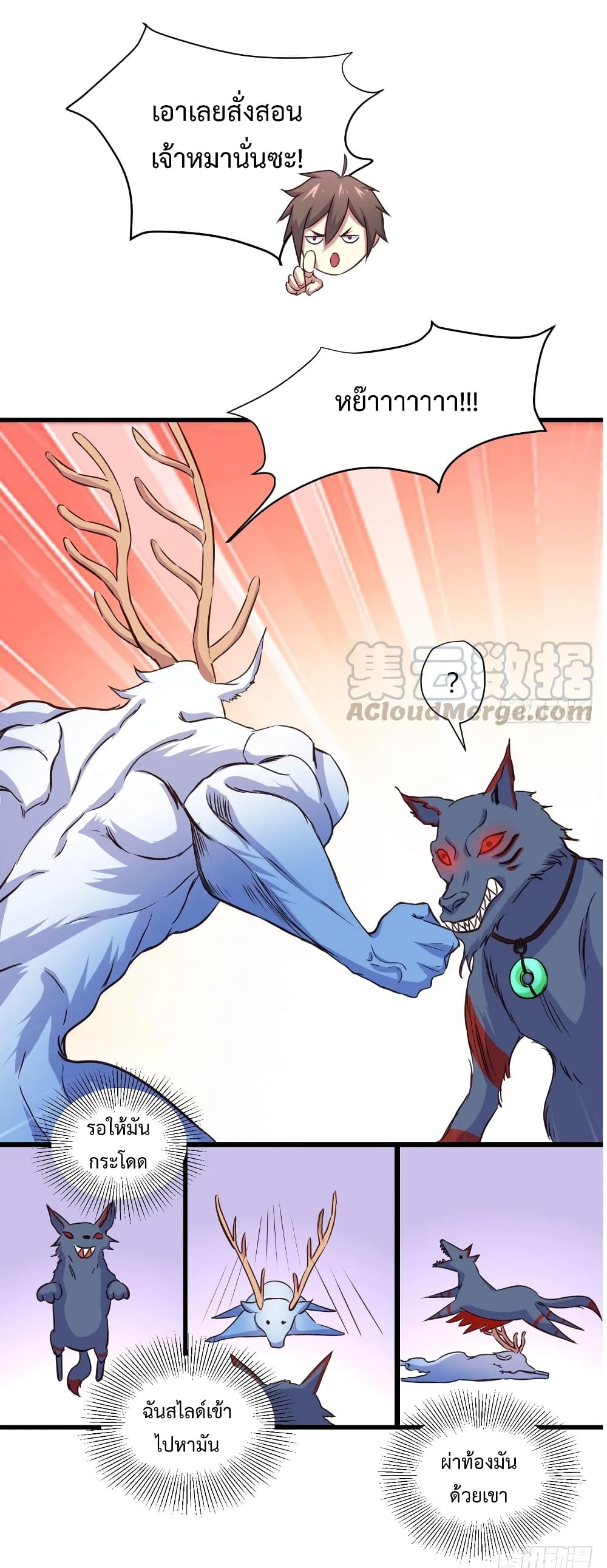 Super Harem Card 25-25