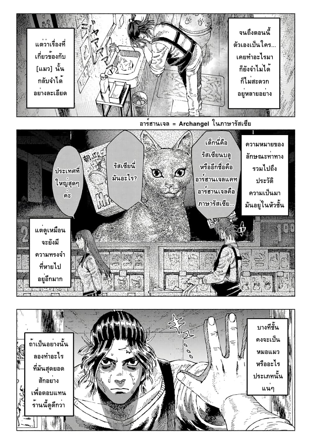 Nyaight of the Living Cat ซอมบี้เหมียวครองโลก! 2-คืนนี้เหล่าแมวได้แย่งชิงดวงดาวไป