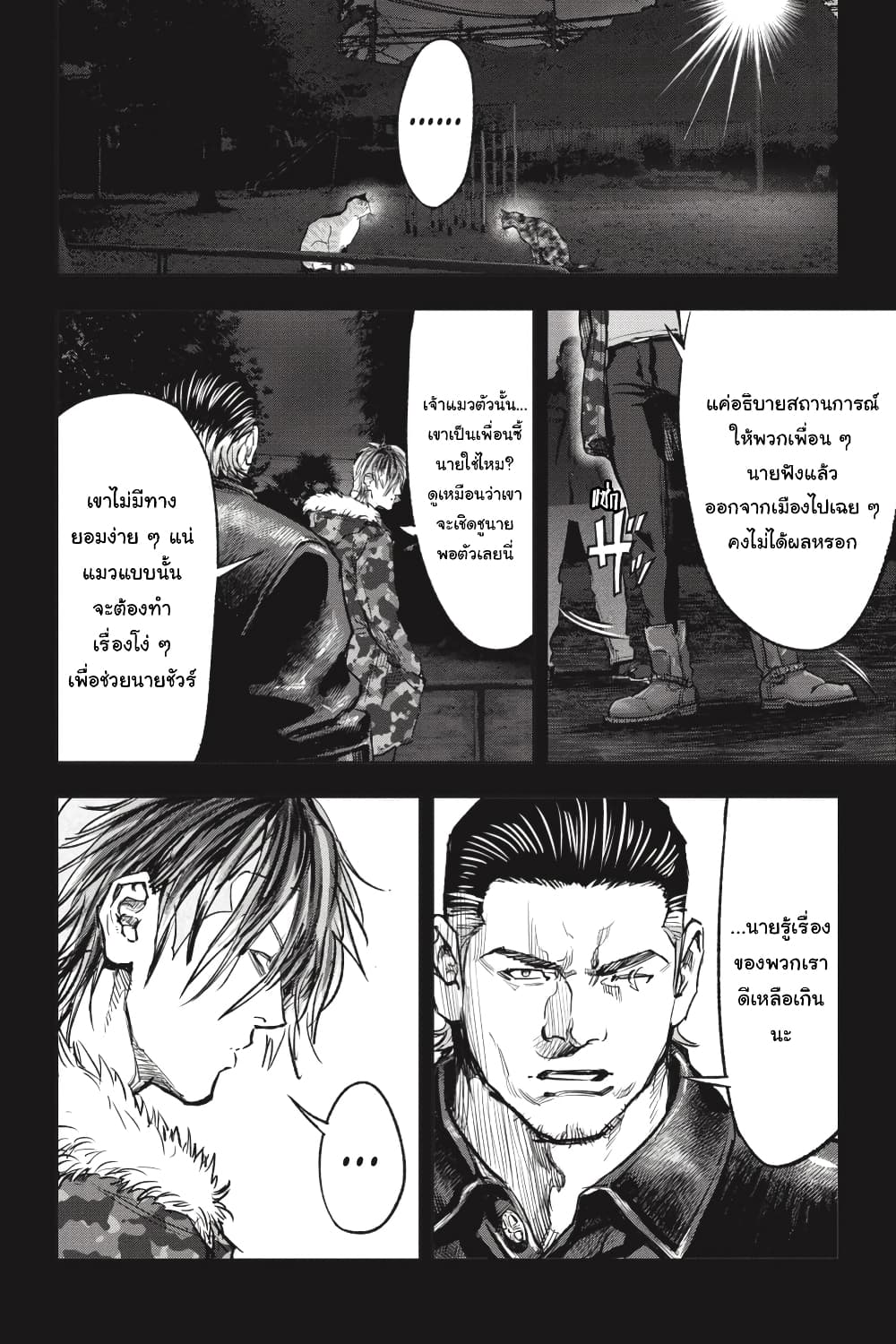 Nyankees 27-แมวสามสีตัวผู้เป็น...