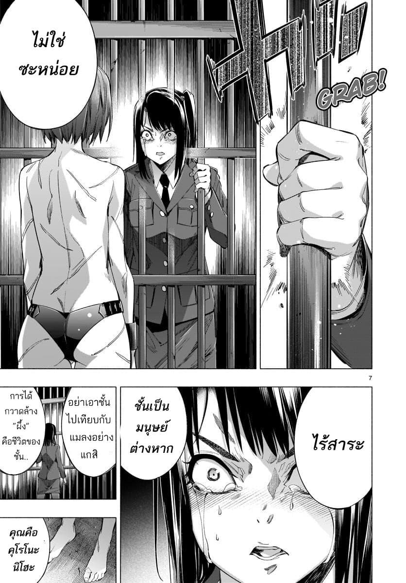 Himenospia 34-คำตอบ