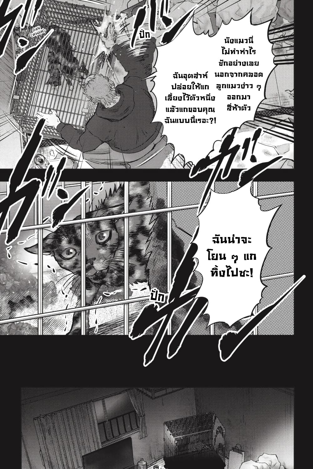 Nyankees 26-มาดาระ