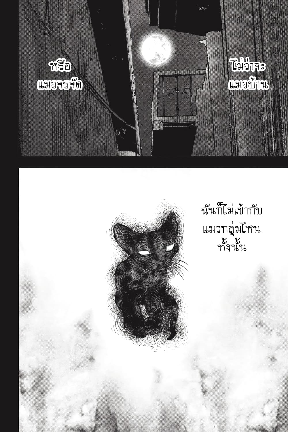 Nyankees 26-มาดาระ