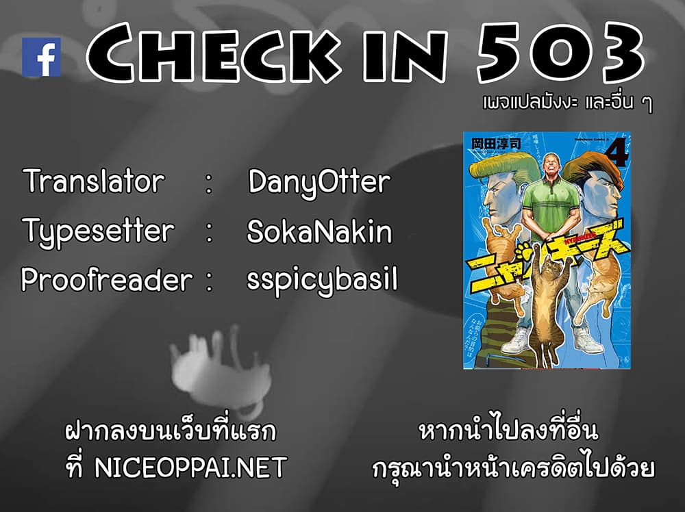 Nyankees 24-สัญชาตญาณแมว