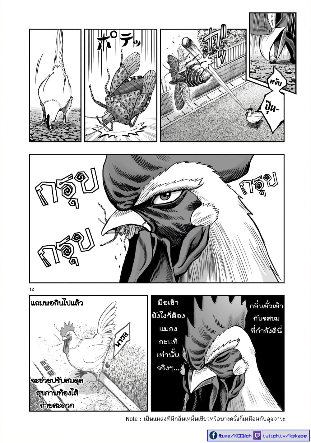 Rooster Fighter ป๋าโต้งชนยับ 1-ดั่งสัตว์ร้ายชุมนุม ดั่งไก่แตกรัง(นึกจะมาก็มา นึกจะไปก็ไป)
