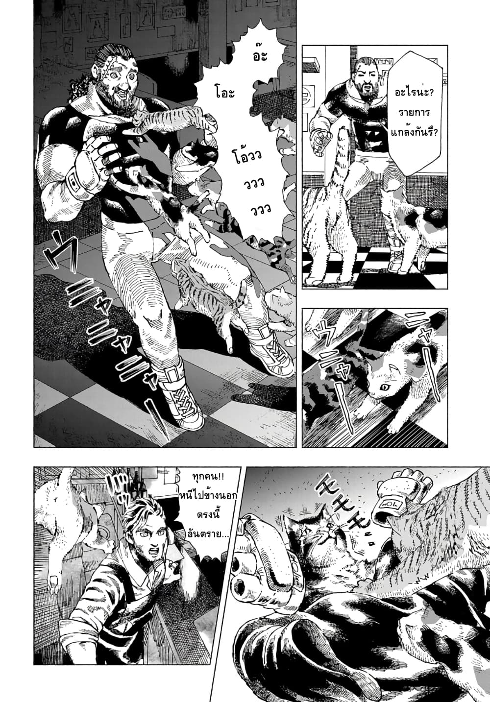 Nyaight of the Living Cat ซอมบี้เหมียวครองโลก! 2-คืนนี้เหล่าแมวได้แย่งชิงดวงดาวไป