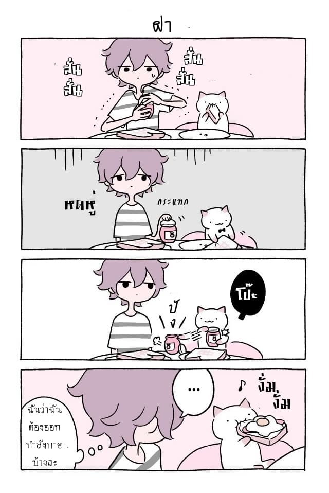 Wonder Cat Kyuu-chan คิวจัง แมวมหัศจรรย์ 12-12