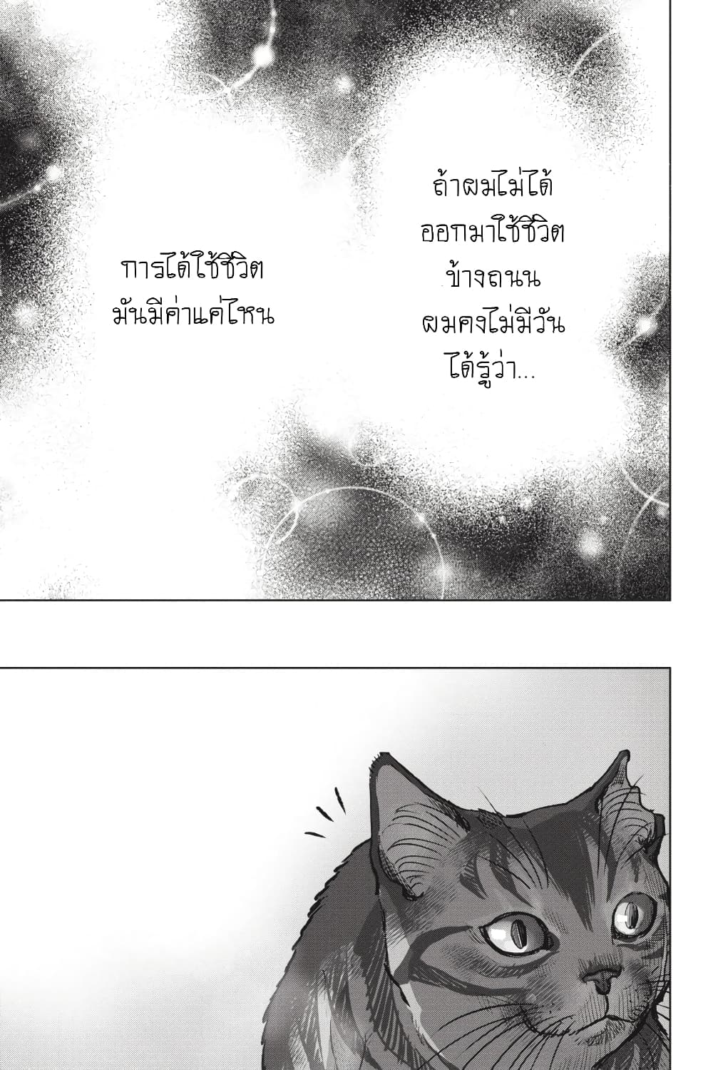 Nyankees 28-มีชีวิต