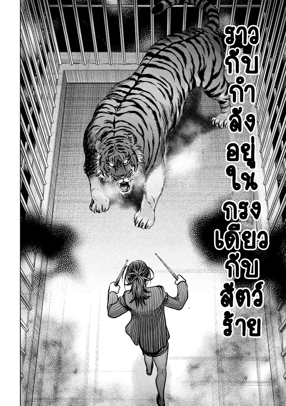 Satanophany 151-ชิคาทิลโล่ 100%