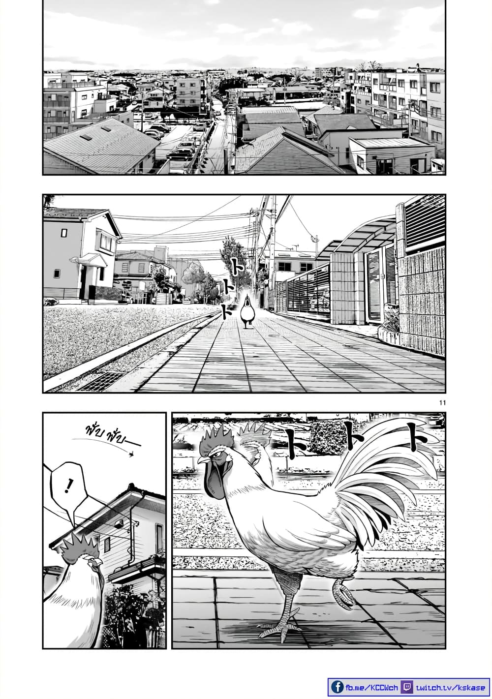 Rooster Fighter ป๋าโต้งชนยับ 1-ดั่งสัตว์ร้ายชุมนุม ดั่งไก่แตกรัง(นึกจะมาก็มา นึกจะไปก็ไป)