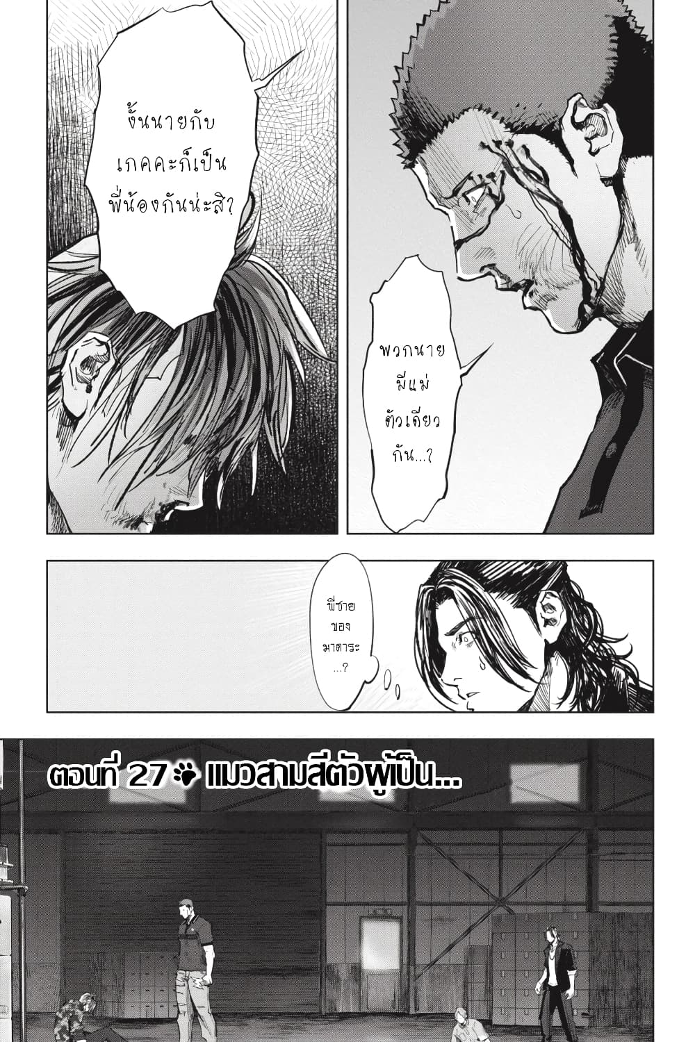 Nyankees 27-แมวสามสีตัวผู้เป็น...