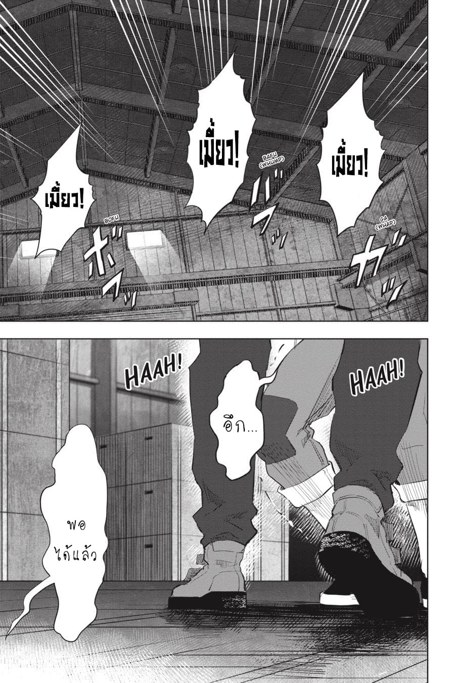 Nyankees 23-ปิดบัญชี
