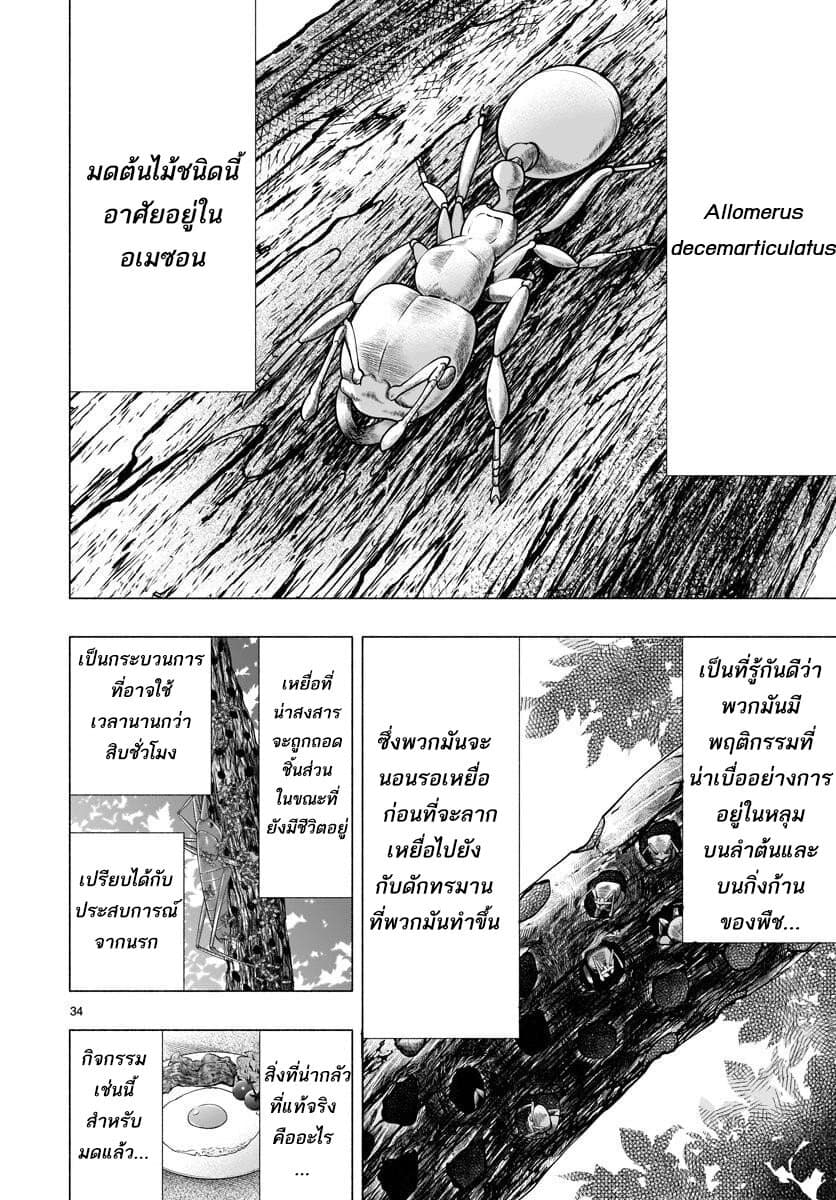 Himenospia 34-คำตอบ