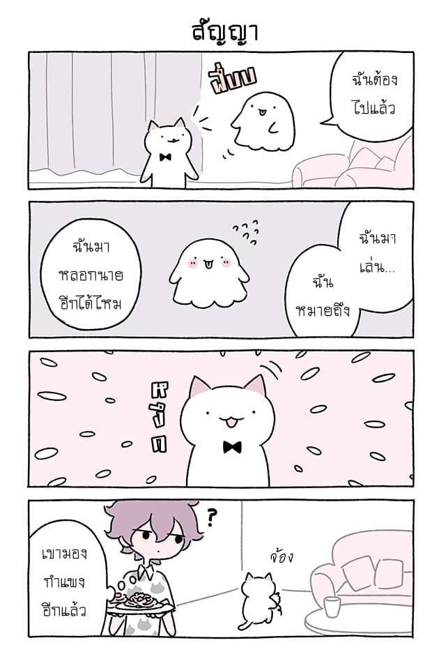 Wonder Cat Kyuu-chan คิวจัง แมวมหัศจรรย์ 14-14