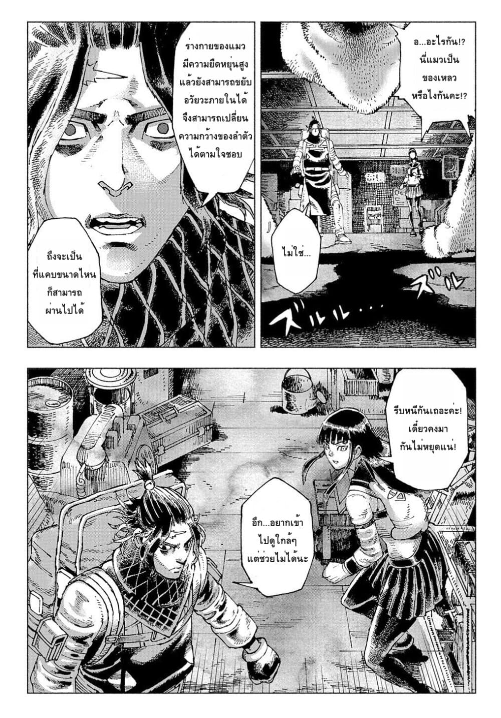 Nyaight of the Living Cat ซอมบี้เหมียวครองโลก! 1-ทุกสิ่งได้กลายเป็นแมว