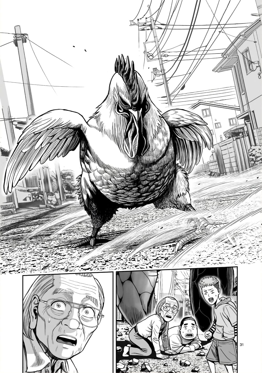 Rooster Fighter ป๋าโต้งชนยับ 1-ดั่งสัตว์ร้ายชุมนุม ดั่งไก่แตกรัง(นึกจะมาก็มา นึกจะไปก็ไป)