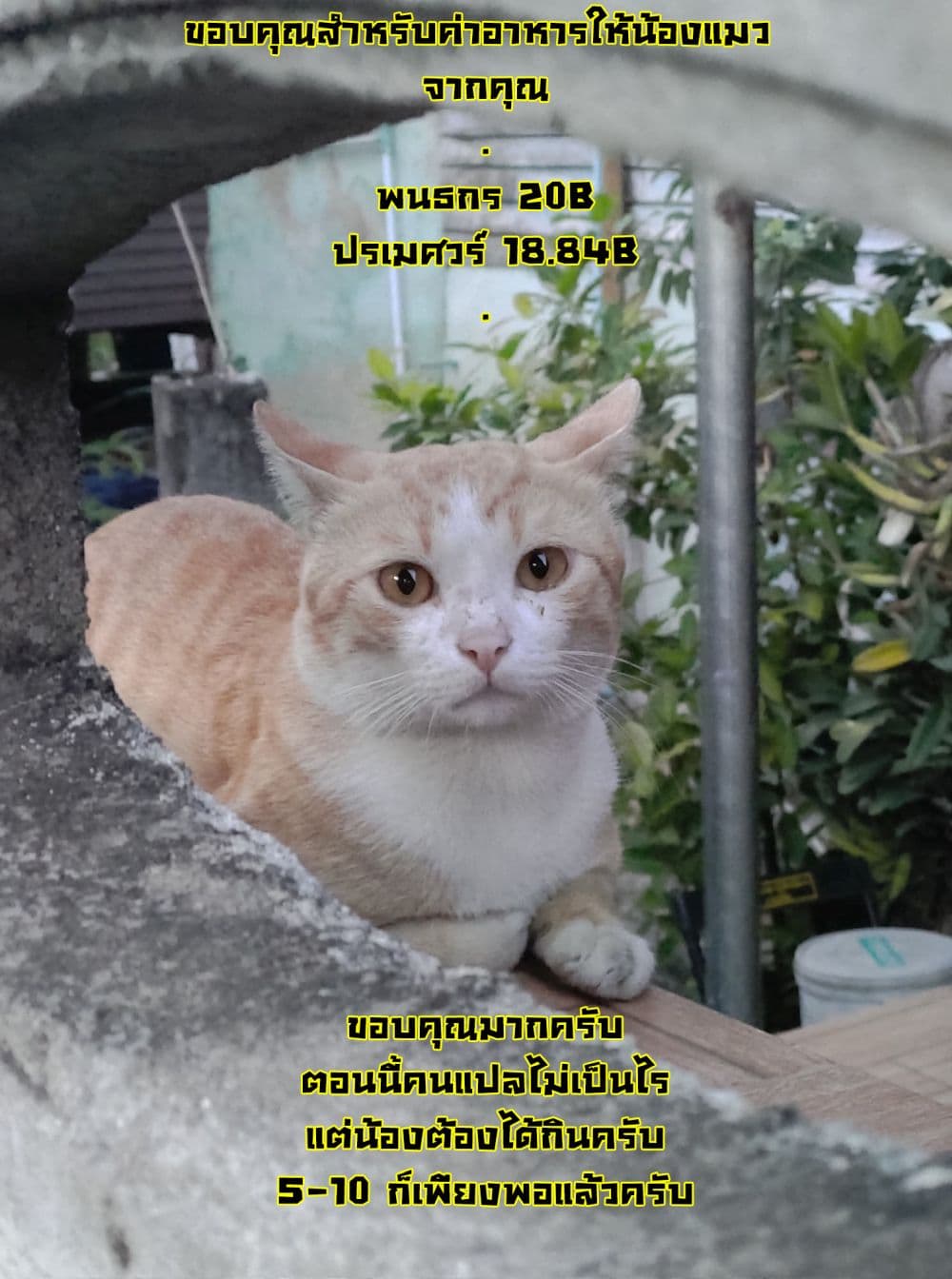 Ore wa Subete wo "Parry" Suru 3-โจมตีมา ก็ parry ได้ มาดี้