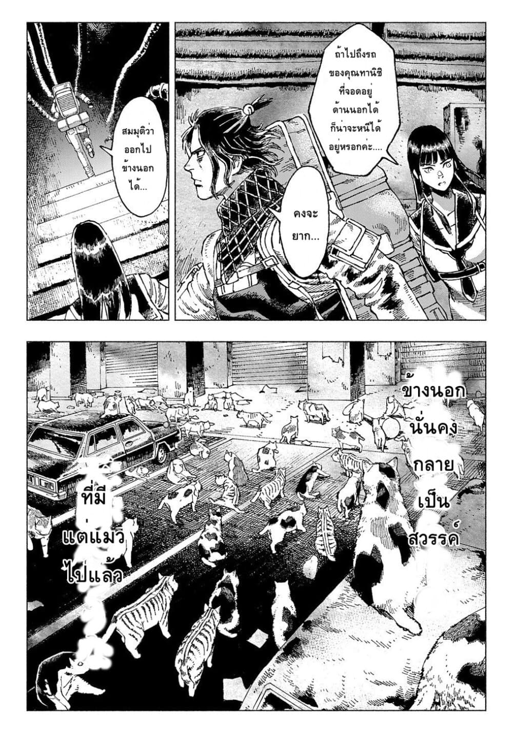 Nyaight of the Living Cat ซอมบี้เหมียวครองโลก! 1-ทุกสิ่งได้กลายเป็นแมว
