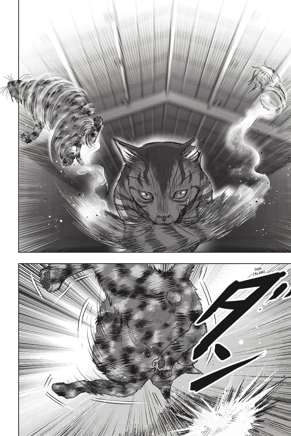 Nyankees 25-ไม่สามารถเอาชนะสัญชาตญาณได้